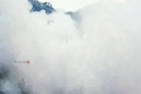 台湾女打星杨丽菁动作片，这段百看不厌，可惜再也拍不出来了！视频封面