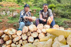 挖笋一时爽，剥笋剥到手抽筋，教你一方法200斤笋十多分钟就剥好