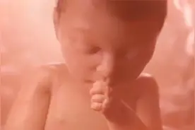 孩子的性别是爸爸还是妈妈决定的呢？生不出男孩是谁的错？视频封面