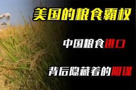 美国的粮食霸权，中国粮食进口，背后竟然隐藏着大阴谋！