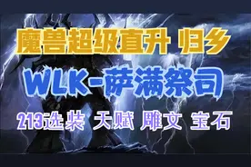 【魔兽世界】照着抄！超级直升萨满最佳配装 一键拾取排骨叮起来视频封面