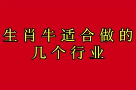 生肖牛适合做的几个行业视频封面
