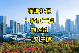 讲透改革后的深圳社保一档二档，究竟有啥区别视频封面