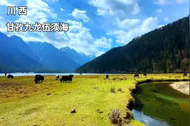 川西小众景点，甘孜九龙伍须海，雪山海子草甸森林，高原风光好美视频封面
