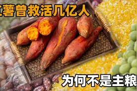 红薯为什么不能当主食？曾拯救中国饥荒，现在“地位”不如土豆？视频封面