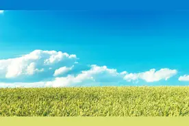 【最新】高级审计师-高级审计实务-高级审计实务视频封面