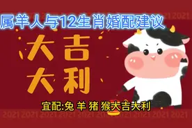 属羊人与12生肖婚配建议