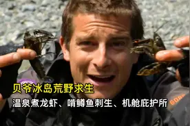 贝爷冰岛荒野求生，温泉煮龙虾、啃鳟鱼刺生、住飞机庇护所视频封面