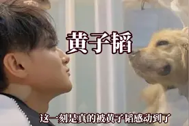 我承认这一刻真的被黄子韬感动到了，黄子韬把救助的流浪狗接回家视频封面