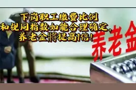 下岗职工缴费比例和视同指数如能合理确定，养老金将会提高一倍！视频封面