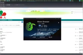 内存小浏览器推荐Midori,windows,linux,国产操作系统都可以用视频封面