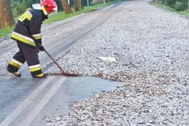 “天降鱼雨”！上万条活鱼从天而降，稀里哗啦下个不停！视频封面
