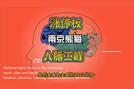 人脑工程再有大动作，南京熊猫5个涨停板，后期热点视频封面