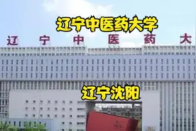 辽宁中医药大学视频封面