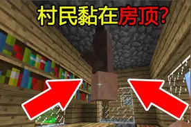 我的世界：MC新手冷知识，这样的MC你见过吗？村民倒立房顶！