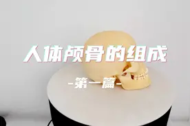 人体颅骨结构图各部位的名称