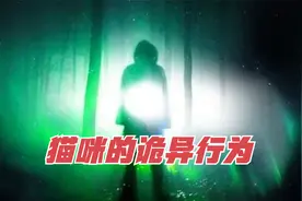 猫咪的诡异行为，网友查看自家监控差点被吓尿！细思极恐！视频封面