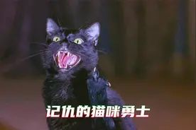 猫咪的报复心到底有多重？视频封面