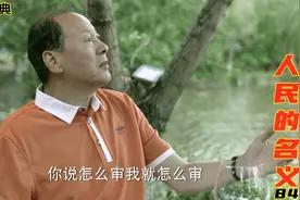 人民的名义：陈清泉权力多大？一句法律条文解释权，妹妹官升两级