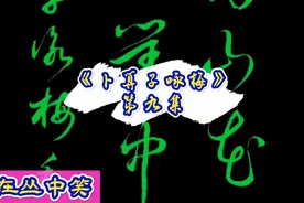 何春雷讲草书，《卜算子咏梅》写法单字解析第九集