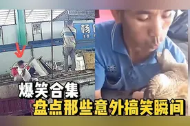 盘点那些意外搞笑瞬间：一男子爬墙外出连续掉下厕所N次，哈哈。