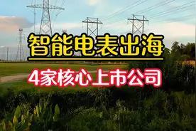 海外电力设备投需求旺盛，盘点智能电表出海4家核心上市公司视频封面