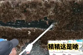 高压清洗船底部藤壶，场面密密麻麻，过程很是解压