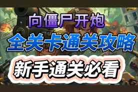 向僵尸开炮全关卡通关攻略新手通关必看视频封面