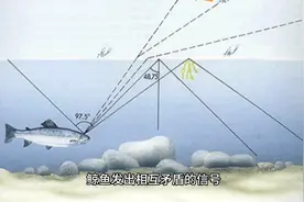 卡尔达诺处于整合阶段——下一步该何去何从？