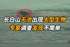 长白山天池出现大型生物，多人拍下视频画面，专家调查发现不简单