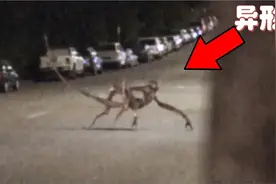 行车记录仪在高速上拍到这个让人毛骨悚然的生物，吓坏了司机视频封面