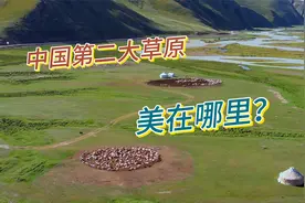 中国的第二大草原，巴音布鲁克草原到底美在哪里？视频封面