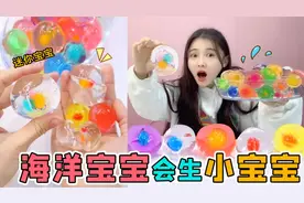 海洋宝宝能生“小宝宝”？放在阳台泡水一个月，竟然真生出了宝宝