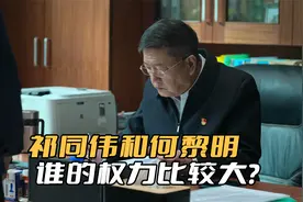 《狂飙》祁同伟和何黎明，谁的权力比较大？别忘了他是公安厅长