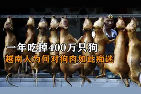 一年吃掉400万只狗，无视政府禁令，越南人为何对狗肉如此痴迷？视频封面