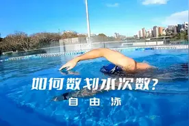 你知道如何数自由泳的划水次数吗？告诉大家一个最简单的计数方法视频封面