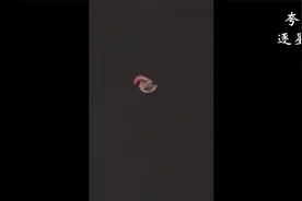 夜空中呈现S型的未知旋转物体和它周边的白色护卫小光球视频封面