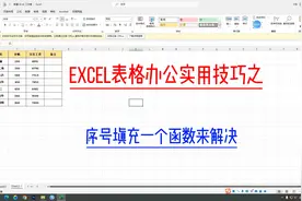 你还在一个一个更改序号吗？一个函数全部解决！！