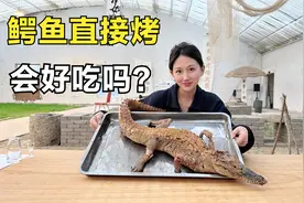 1300买了一条鳄鱼，整只腌制直接烤一小时，味道会好吃吗？视频封面