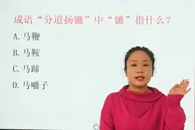 成语“分道扬镳”中“镳指”马嚼子还是马鞭？你明白了吗