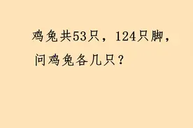 鸡兔共53只，124只脚，问鸡兔各几只？视频封面
