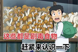 这些全是剧毒食物 认识一下你也可以避免中毒哦视频封面