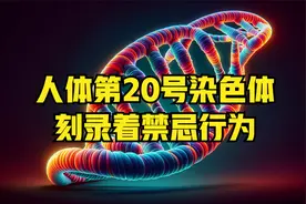 人体的第20号染色体，刻录着人类的禁忌，一旦违反后果很严重视频封面