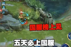 全网最详细澜教学，我们国服榜单见！