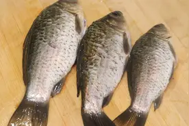 大鲫鱼特别好吃的做法，连鱼渣也不浪费，鲜美入味，营养丰富，香