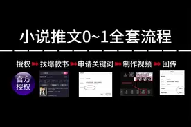 小说推文0~1全套保姆级教程（授权·关键词·改文·配音·回传）