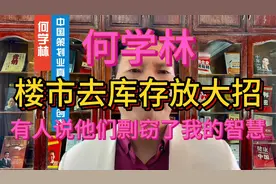 何学林:楼市去库存放大招有人说他们剽窃了我的智慧视频封面