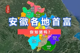 安徽各地首富，你知道吗？