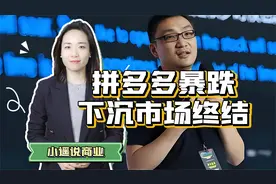拼多多: 一家伪装成电商的"保险”公司视频封面