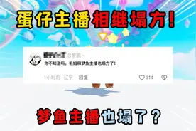 蛋仔派对：临近过年，蛋仔主播相继塌方！梦鱼主播也塌了？视频封面